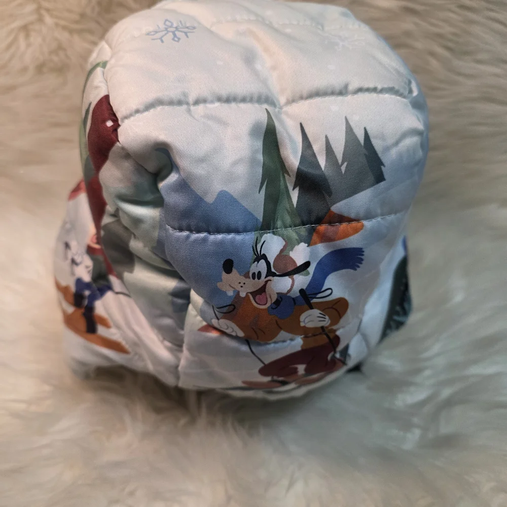 Toddler Disney Winter Hat